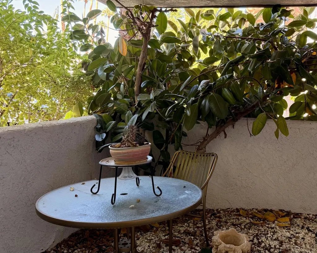 5301 E Waverly Dr. 173, Palm Springs, California 92264 home-pic-9